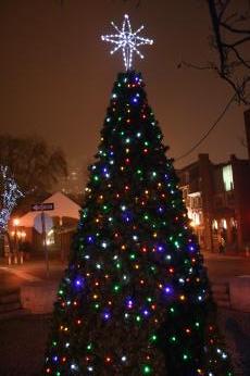 Christmas Tree near South Stree, Phila, PA Dec 14, 2006. Copyright 2010
