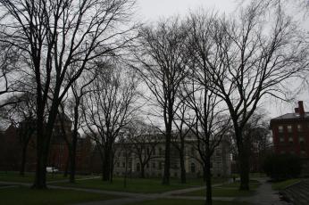 Harvard Yard in Winter, naked trees and no students.