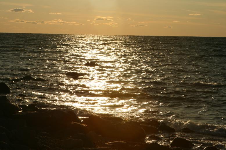 Main Image, ©, being viewed: image 96 in the PicBackThumbs/CamPics2008/11_24_2008 gallery