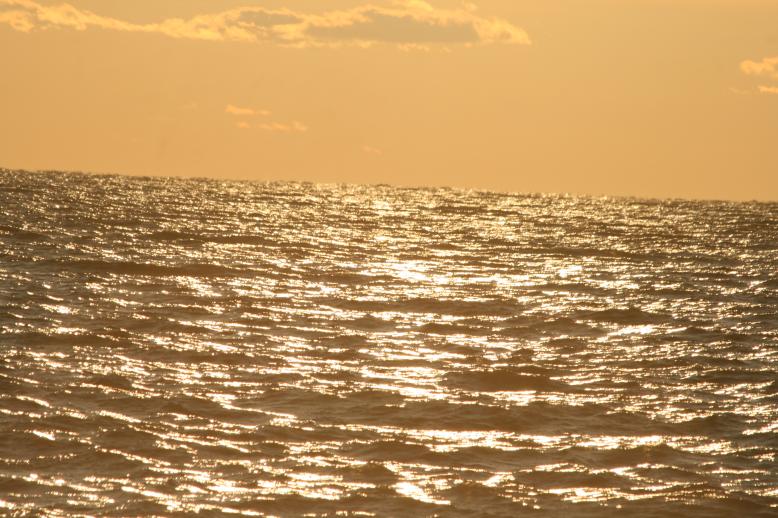 Main Image, ©, being viewed: image 97 in the PicBackThumbs/CamPics2008/11_24_2008 gallery