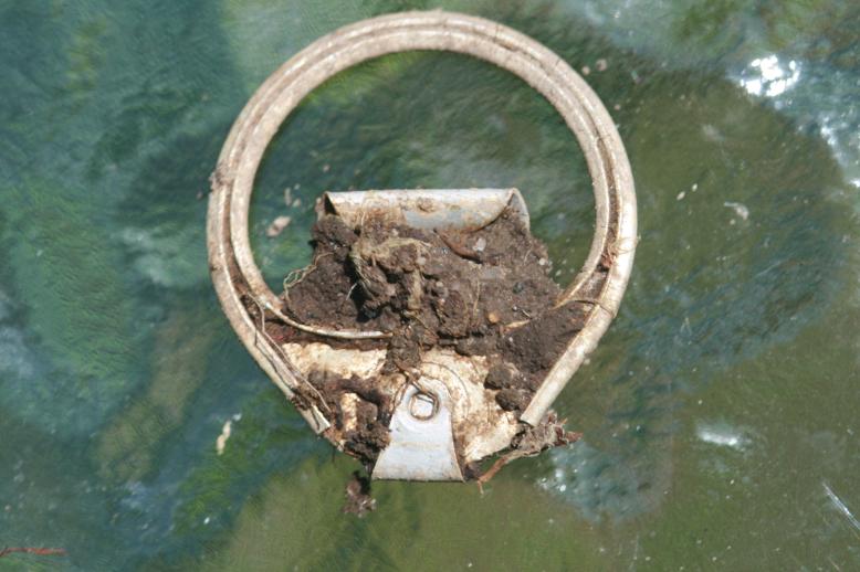 old pop top, found in the ground, encrusted with dirt. Natick backyard, MA June 2009.