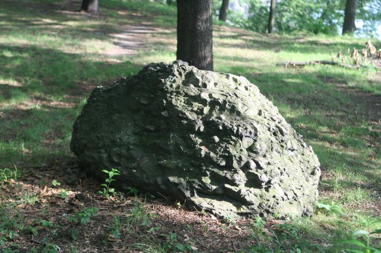 Conglomerate Boulder Massif, Brighton, MA, about 3.5 feet high by 9 feet by 5 feet approx 5:15 PM, July 30, 2009.