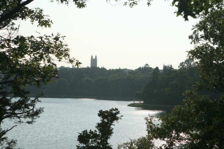 View from a knoll overlooking the Chestnut Hill Reservoir.  See the Boston College church tower across the water.