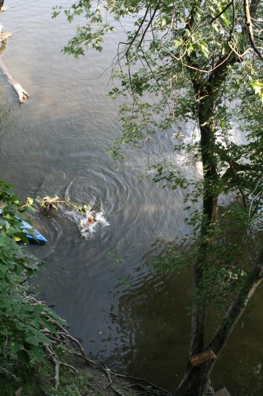 Young adults on a Conneticuit River Rope swing, Aug, 2009, North Hampton, MA at the Railtrail bridge.