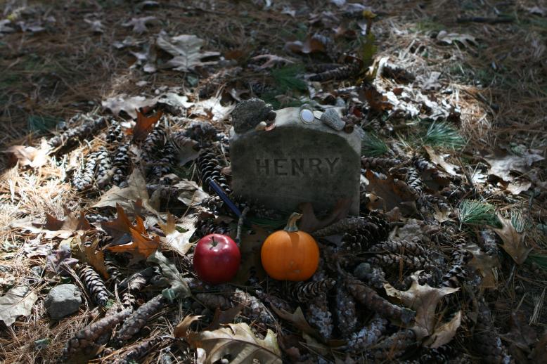 Henry's grave.  Note that the many offerings, including a multitude of pens and writing instruments, Concord, MA.