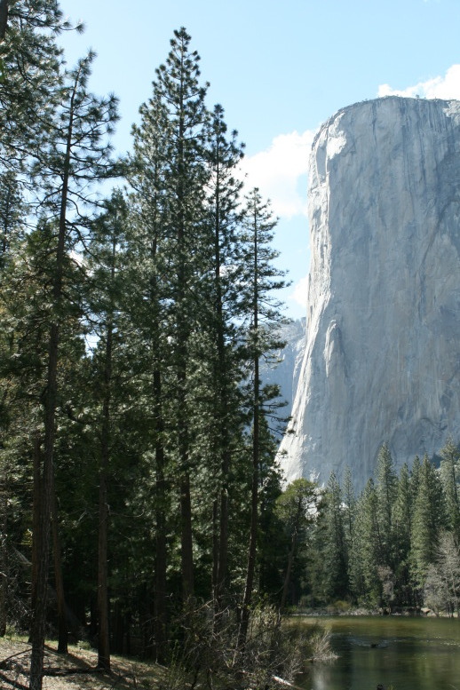 The banks of the Merced in Yosemite Valley, May 2010.