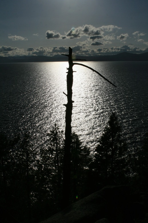 Tree cuts the lake in half.  The separation is an illusion caused by one's orientation.  Open both your eyes and see, in 3D, that the lake is far down the slope and not cut in half.  It looks that way in the photo. 