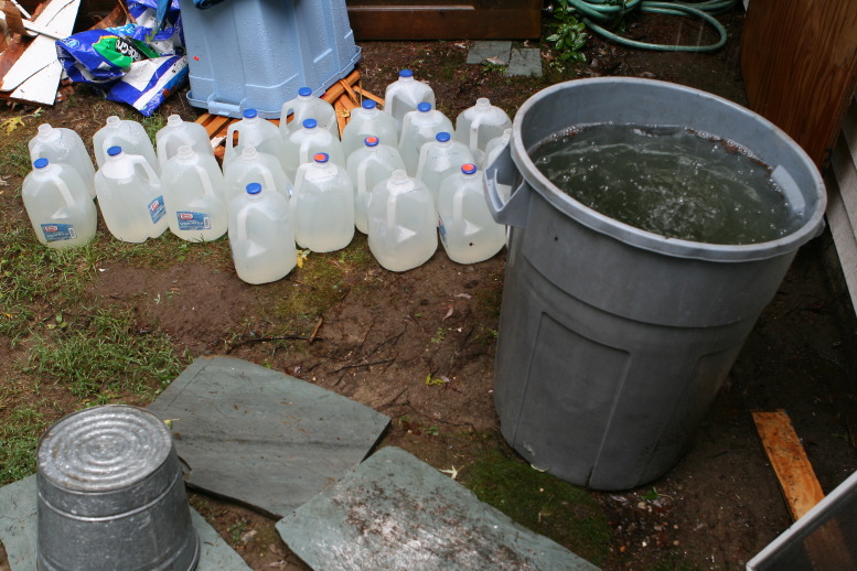 Still life at the back of the house.  How green?  who wants to know how green? 