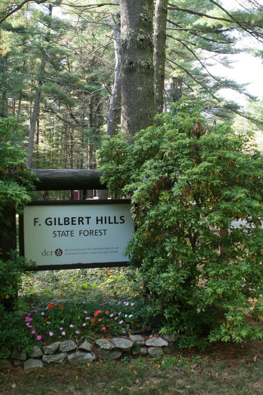Entrance sign for the State Forest.  Copyright 2010, Amillia Pub