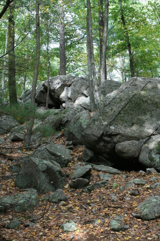 Deep woods of Foxboro, MA, suitible for hiding a wizzard's staff beneath a ledge.Copyright Amillia Pub