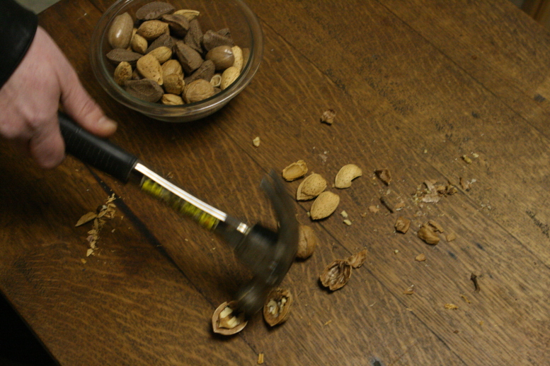 Hammer in motion over a dark stained antique oak desk on a Winter's day 2011.  There are various cracked nuts on the desktop:  Walnuts, Almonds, and various shells.